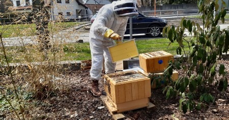 nástavkový včelí úl při zebrování